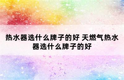 热水器选什么牌子的好 天燃气热水器选什么牌子的好